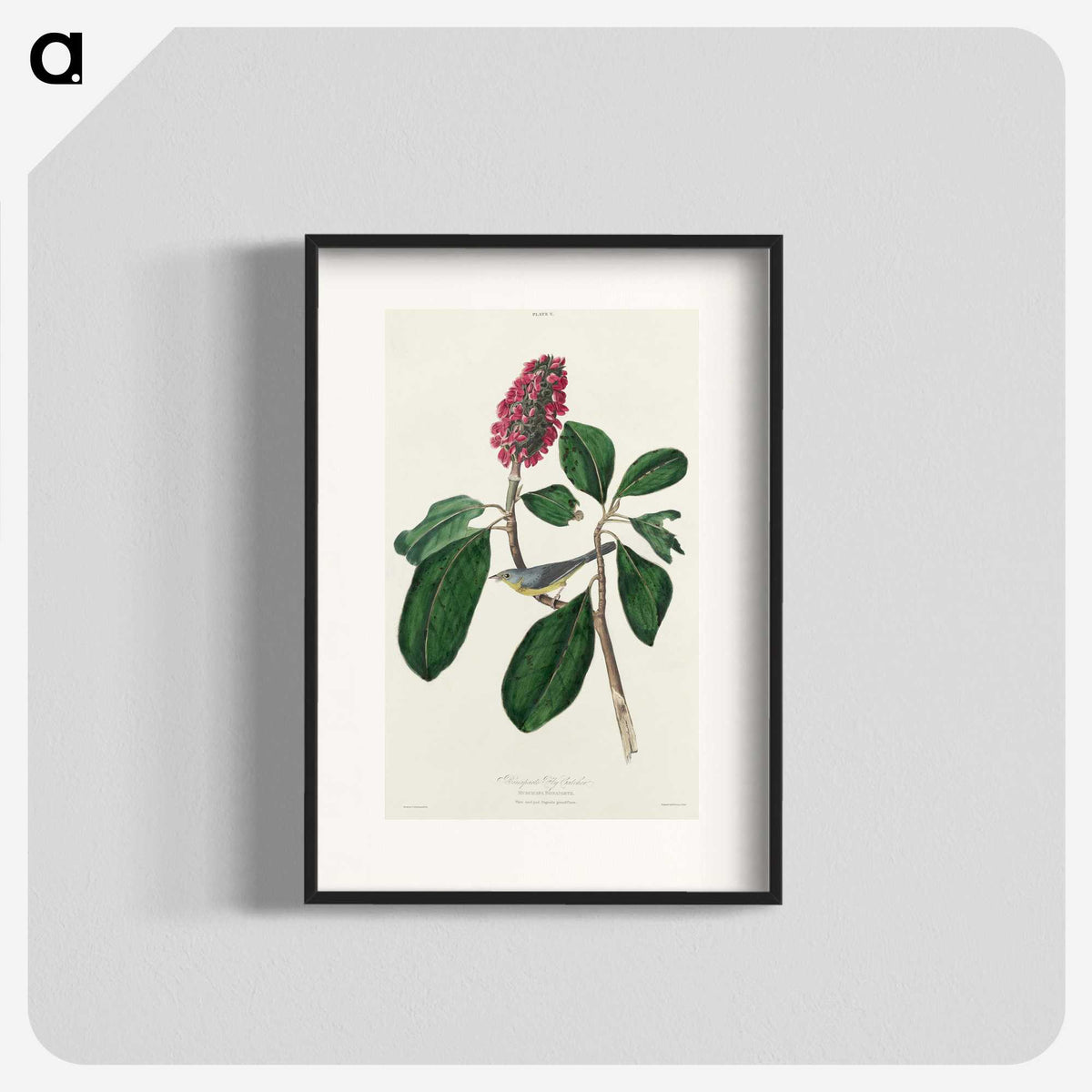 2-95_John-James-Audubon_blk