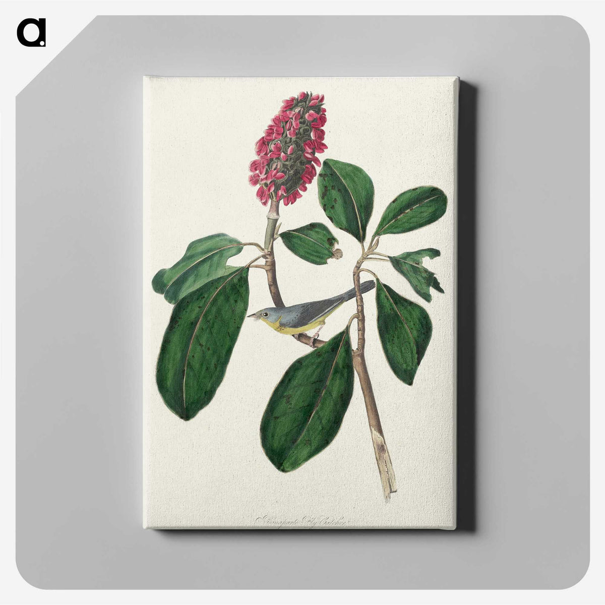 2-95_John-James-Audubon_canvas