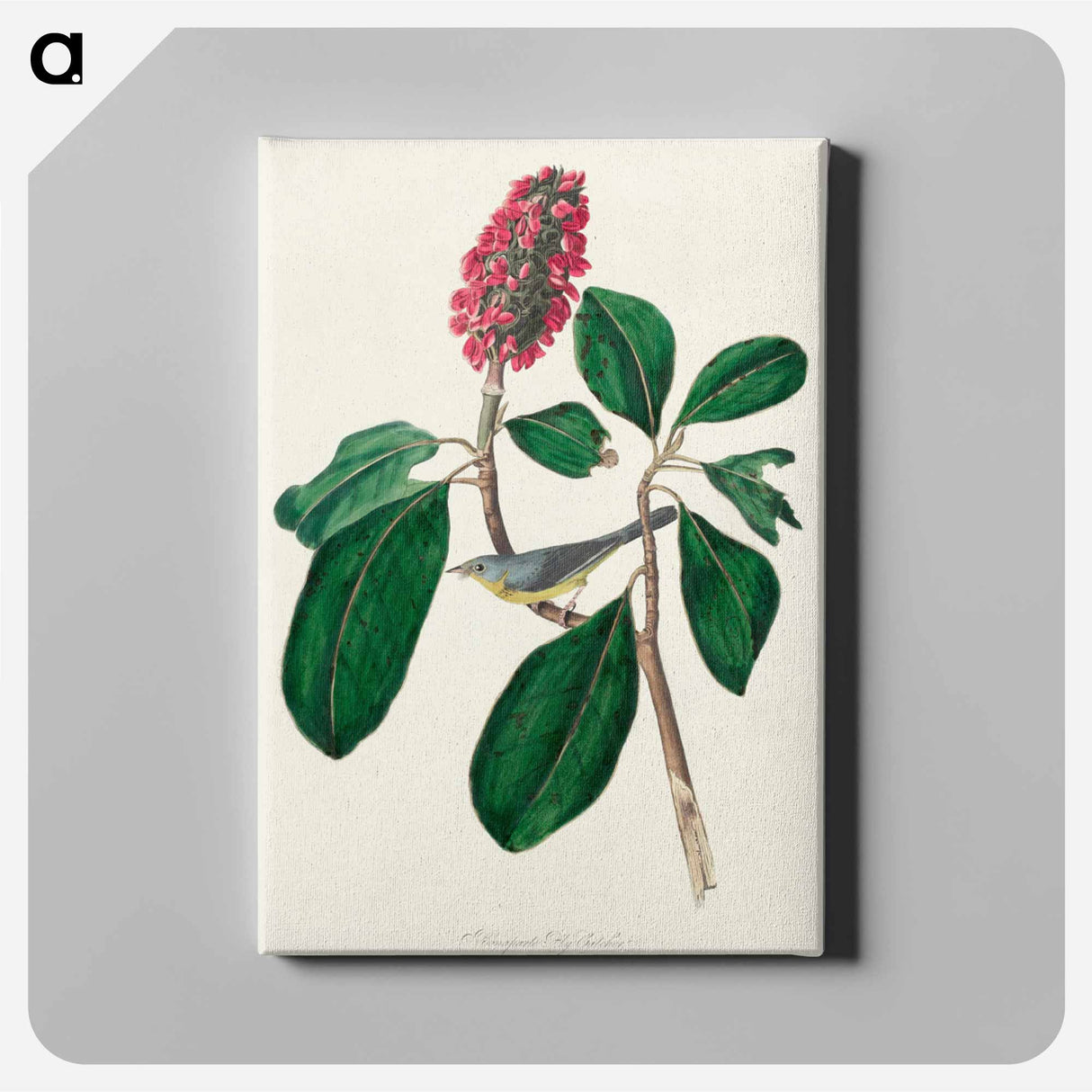 アートパネル-Bonaparte's Flycatcher
- ジョン ジェームス オーデュボン Canvas.