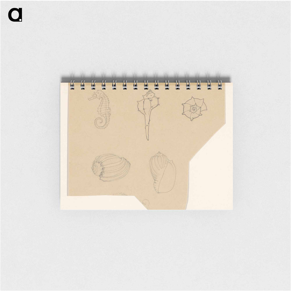 Studieblad met schelpen en een zeepaardje - ユリー デ フラーハ Memo.