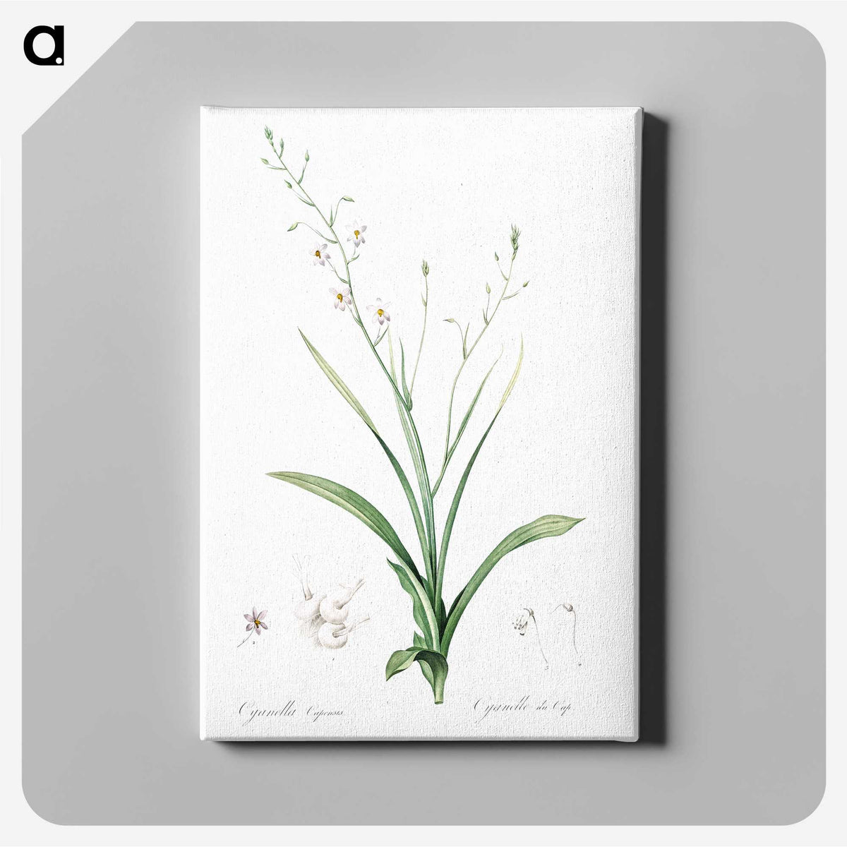 2-95_The-Lilies_canvas