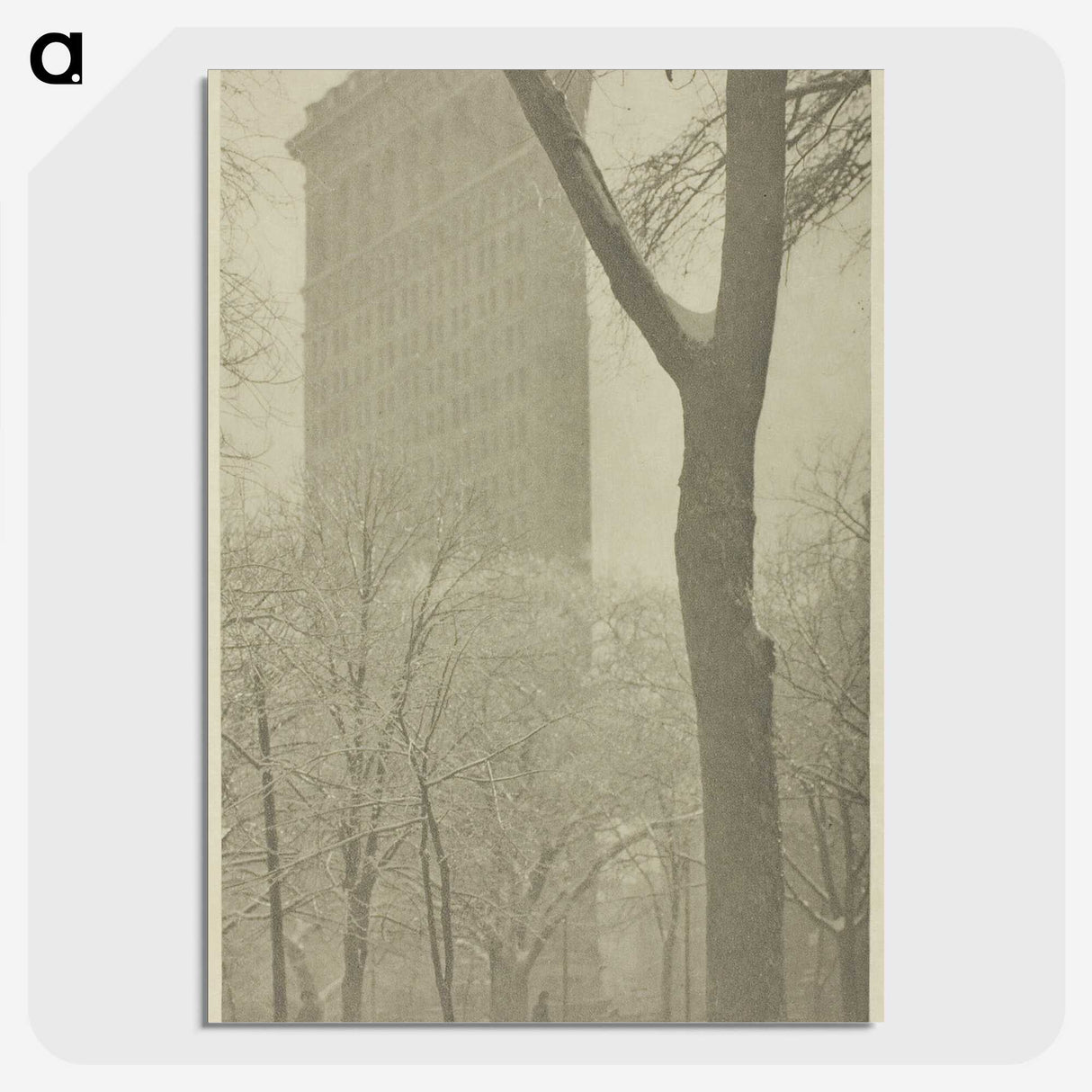 2-96_Alfred-Stieglitz_picture-crop