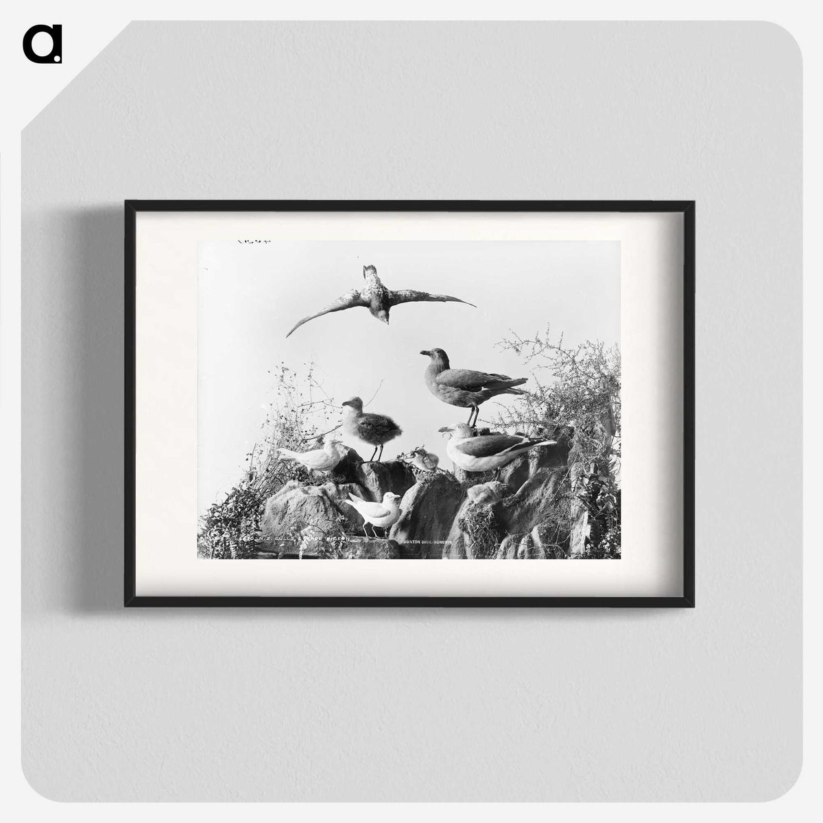 2-96_The-Burton-Brothers_blk