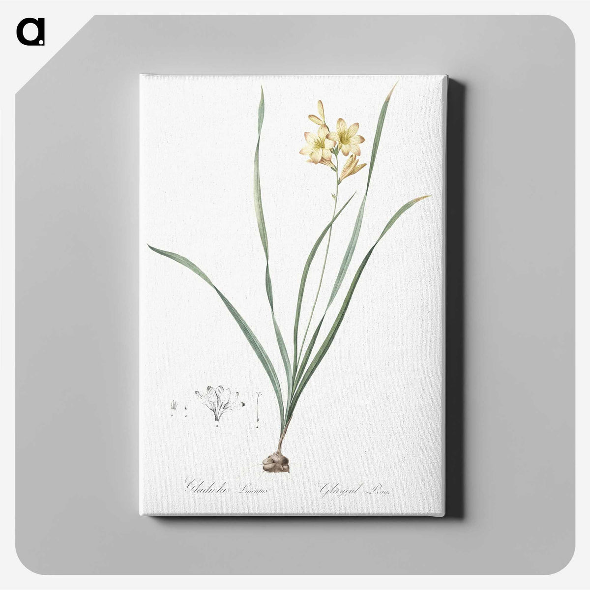 2-96_The-Lilies_canvas