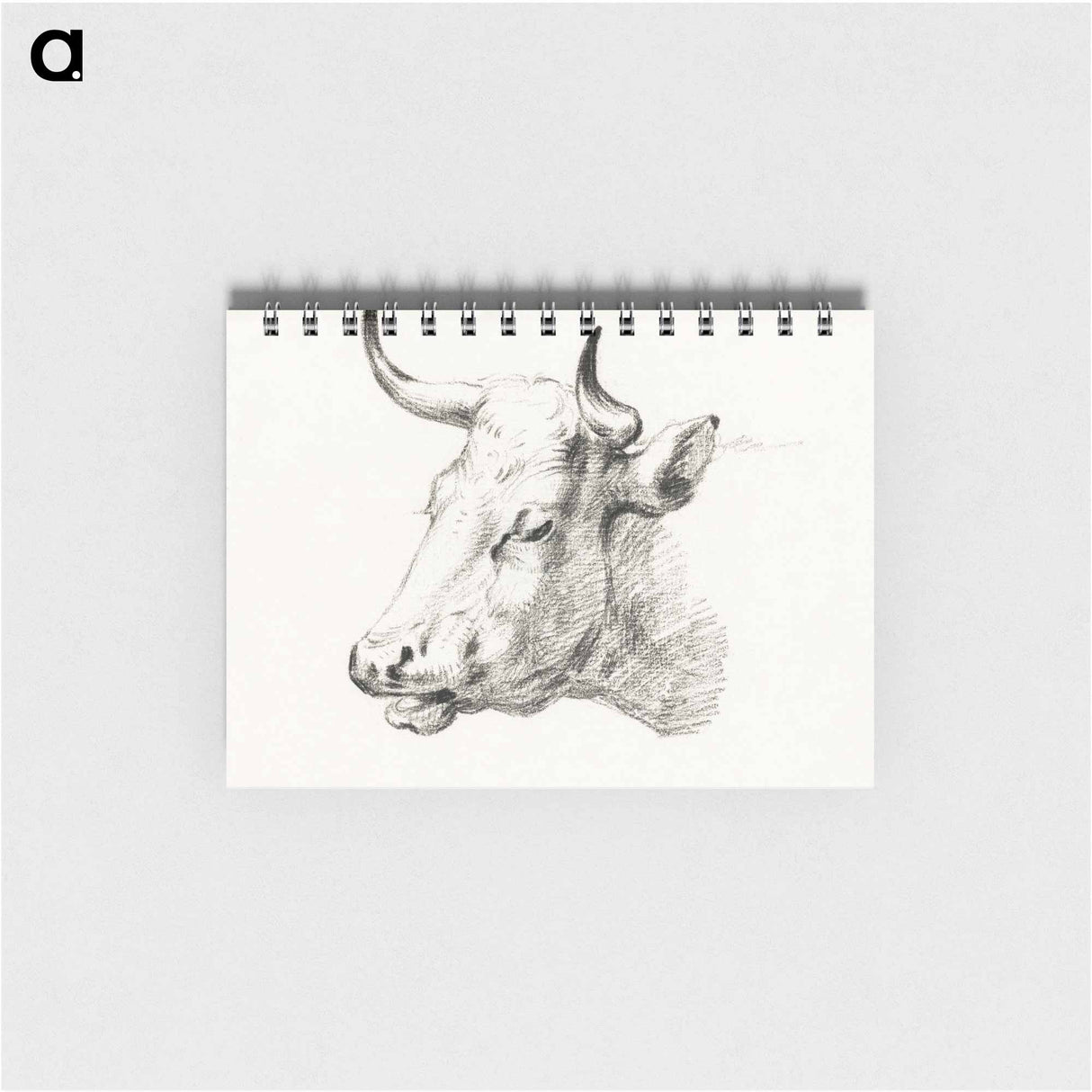 Head of a cow - ジャン ベルナール Memo.