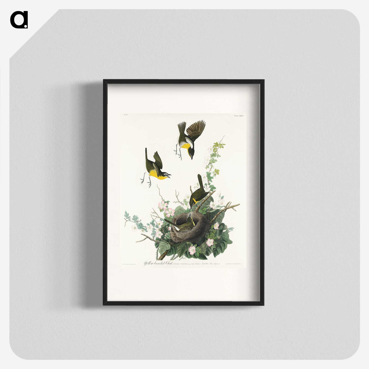 2-97_John-James-Audubon_blk