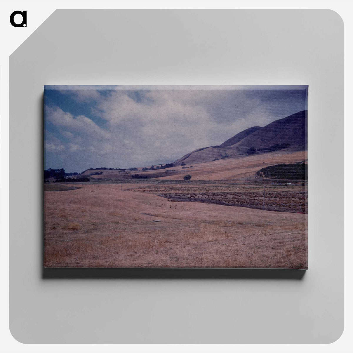 2-97_Leslie-Adkin_canvas