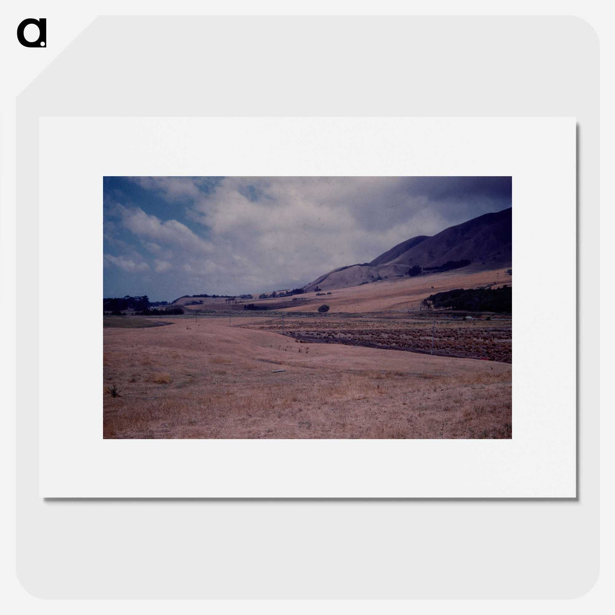 2-97_Leslie-Adkin_picture