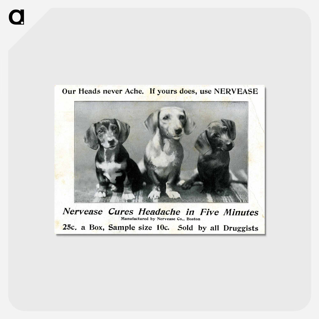 アートポストカード-Nervease Advertisement Featuring Three Dogs
- 国立医学図書館 Postcard.