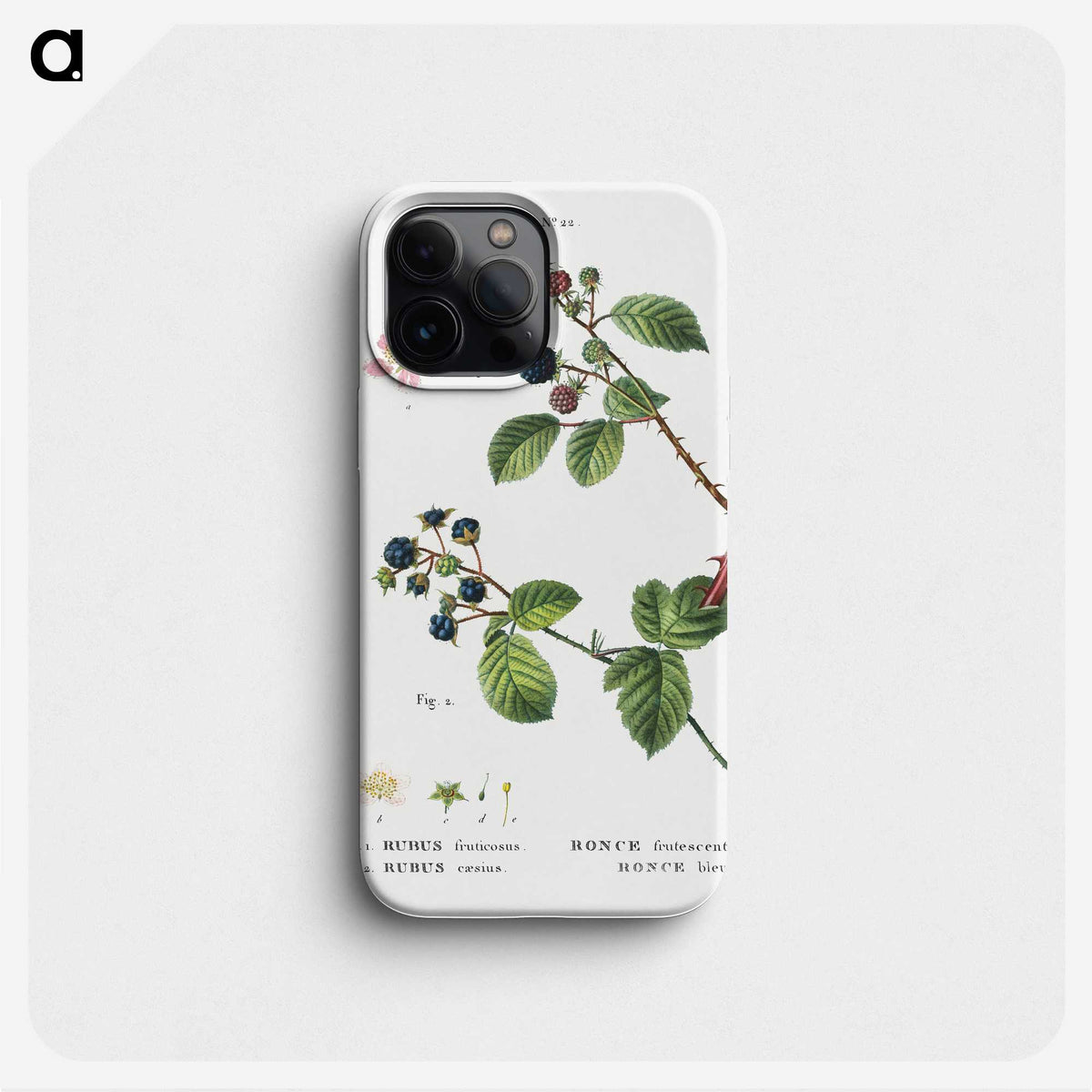 2-97_Treatise-on-Trees-and-Shrubs_phone