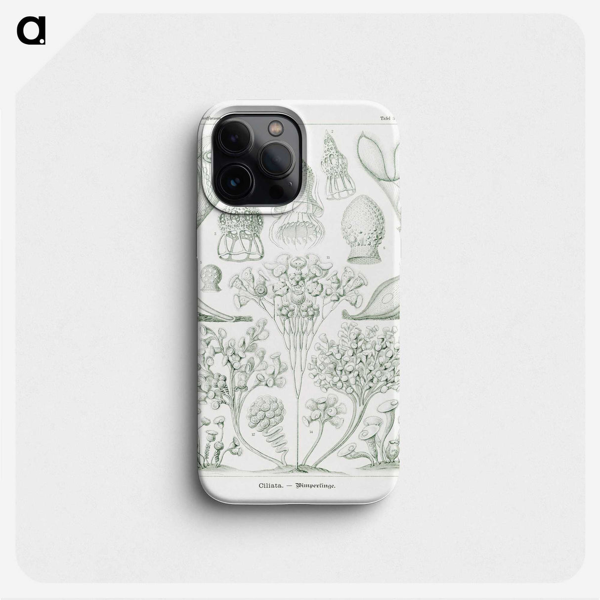 2-98_Ernst-Haeckel_phone