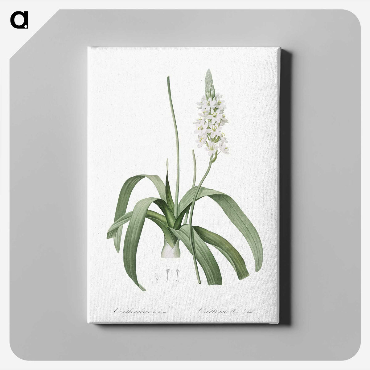 2-98_The-Lilies_canvas