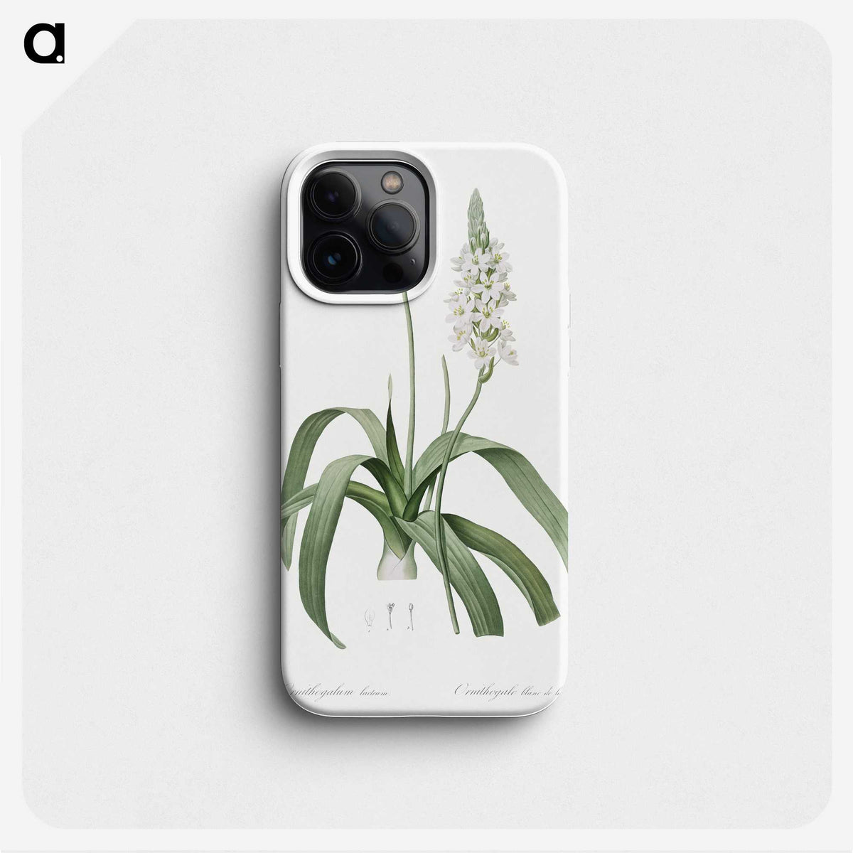 2-98_The-Lilies_phone