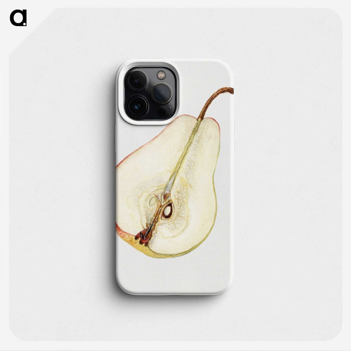 2-98_USDA-Watercolor-Fruit-Painting-Collection_phone