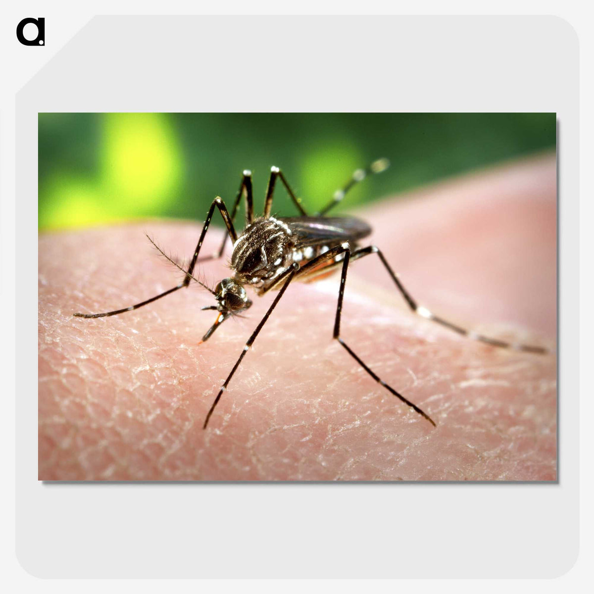 2-99_COVID-19_picture-crop