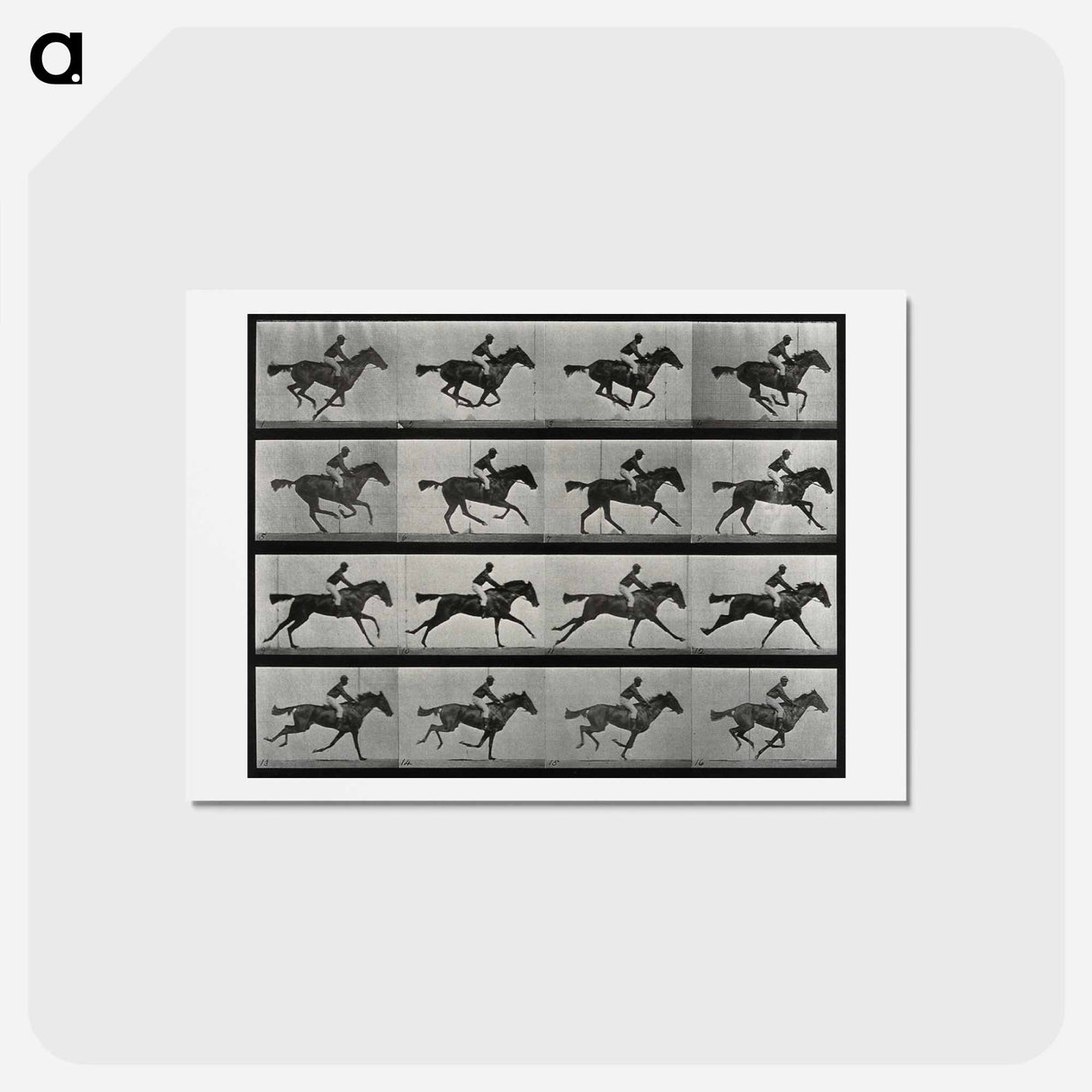 アートポストカード-Galloping Horse and Rider
- エドワード マイブリッジ Postcard.