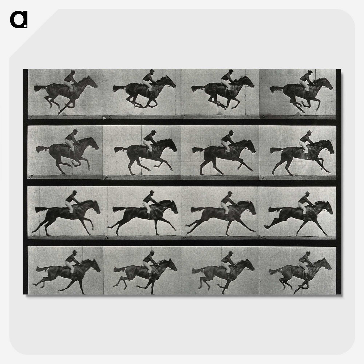 2-99_Eadweard-Muybridge_picture-crop