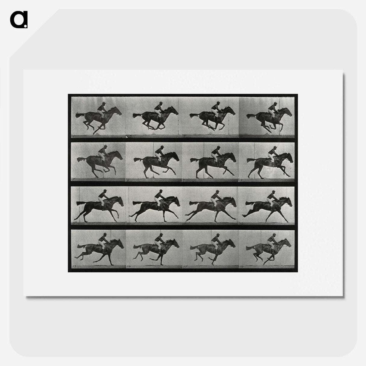 2-99_Eadweard-Muybridge_picture