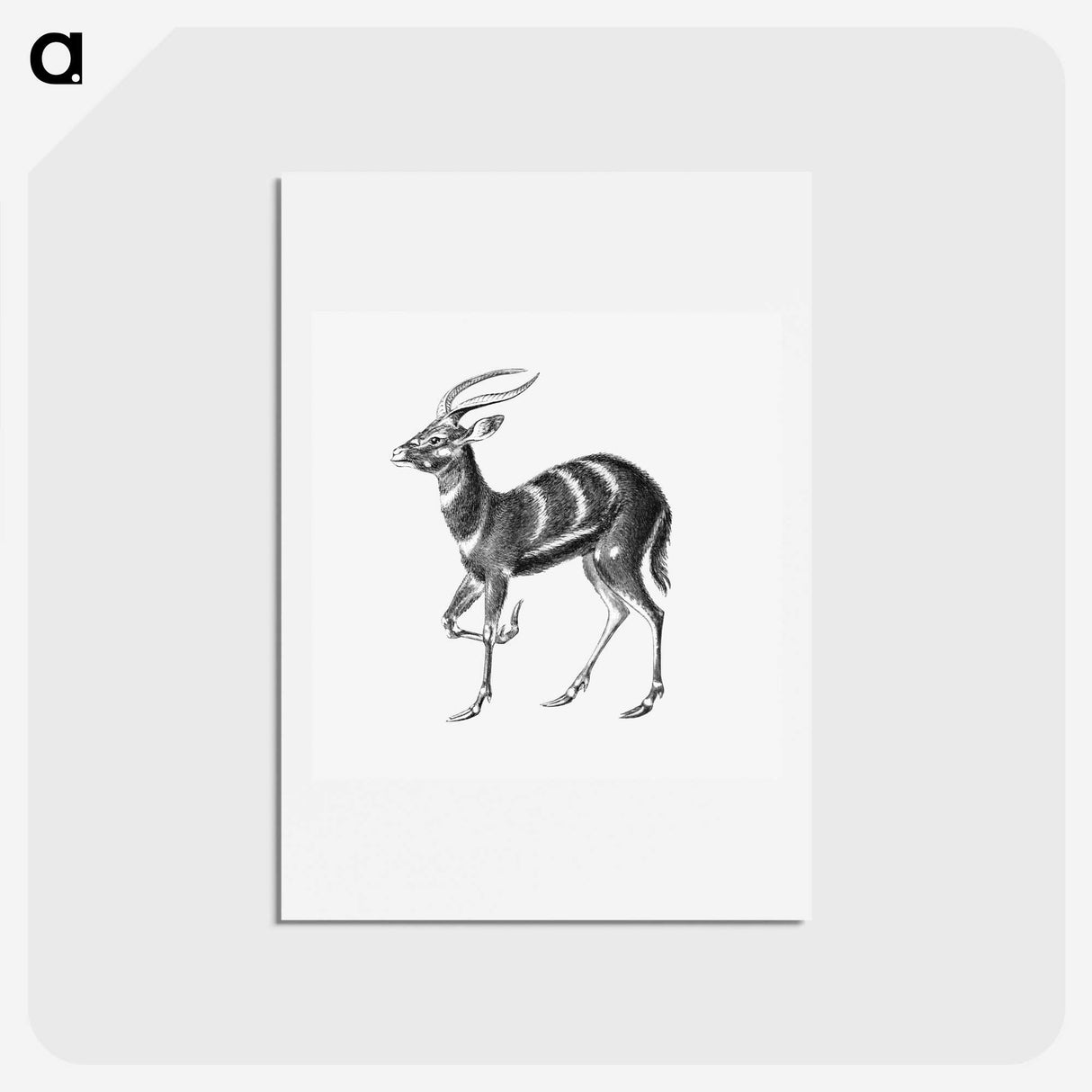 2-99_Ernst-Haeckel_hagaki