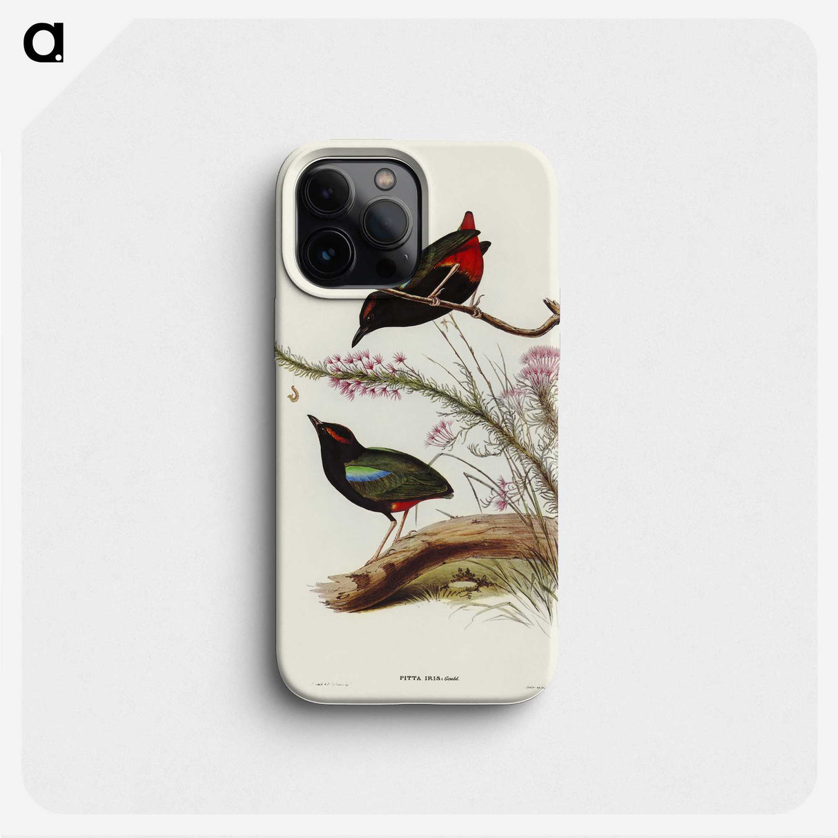 2-99_John-Gould_phone