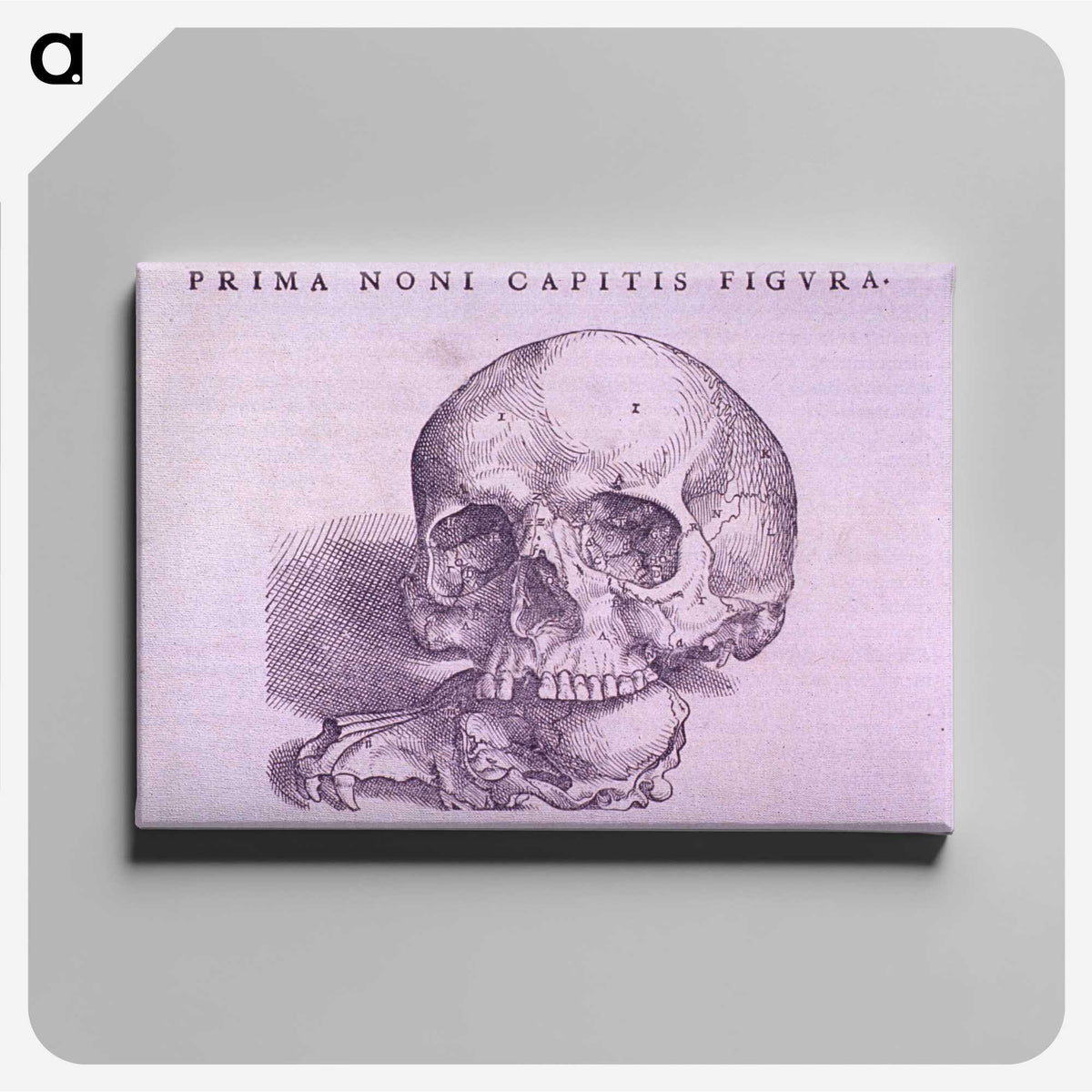 2-99_National-Library-of-Medicine_canvas
