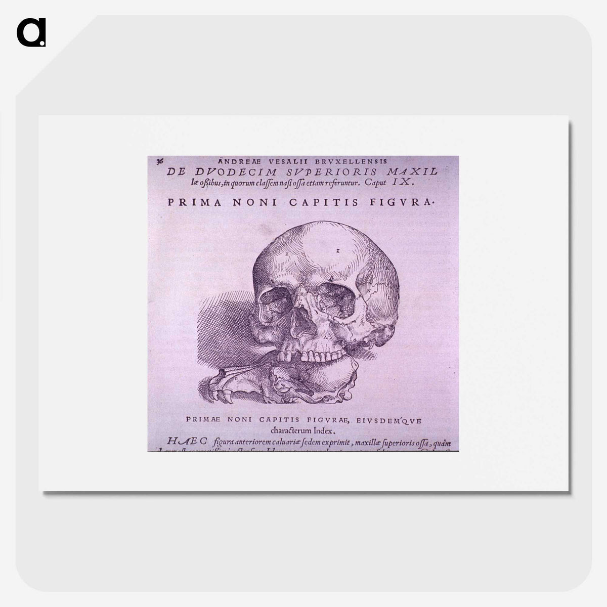2-99_National-Library-of-Medicine_picture
