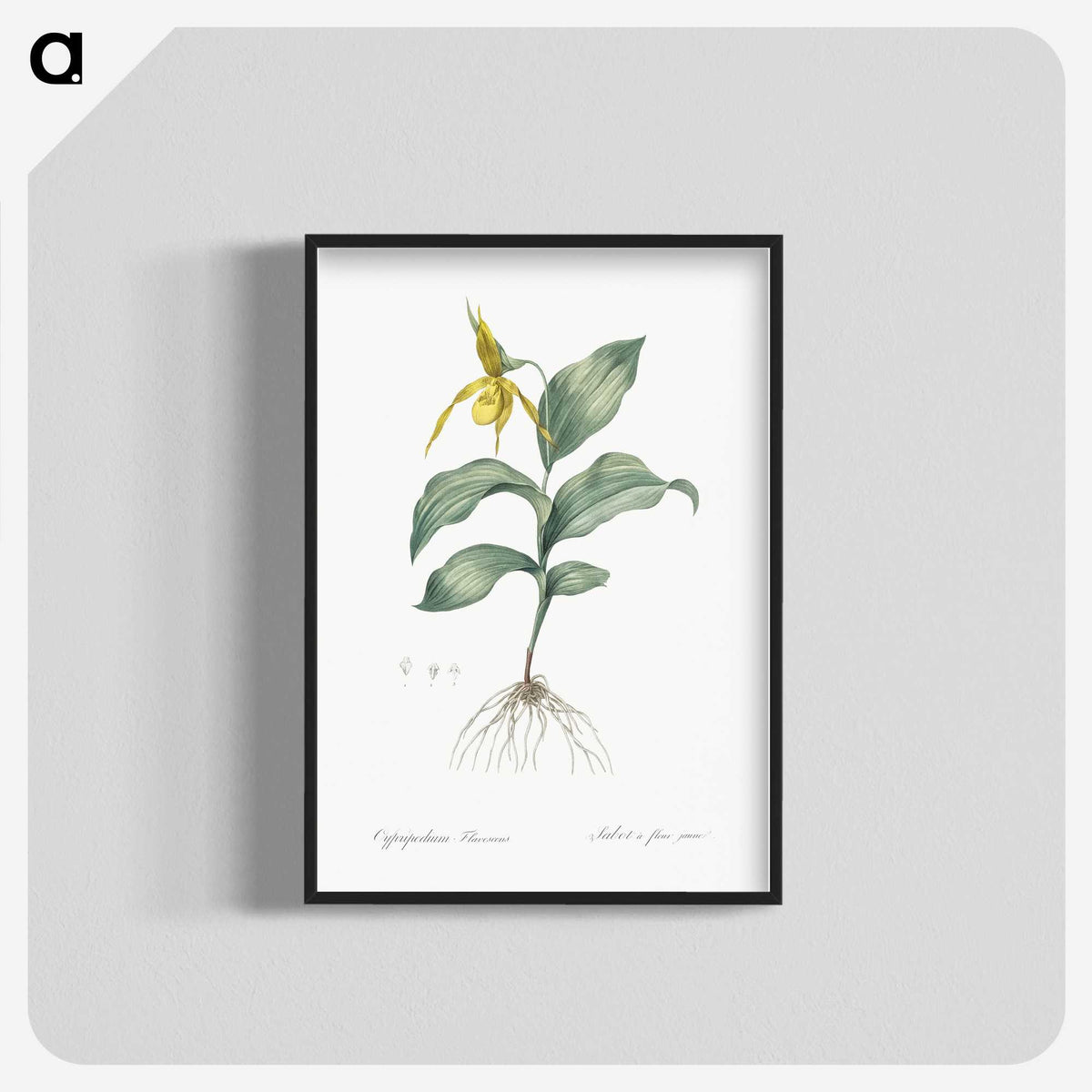 2-99_The-Lilies_blk-crop