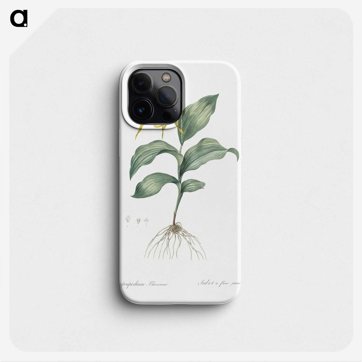 2-99_The-Lilies_phone