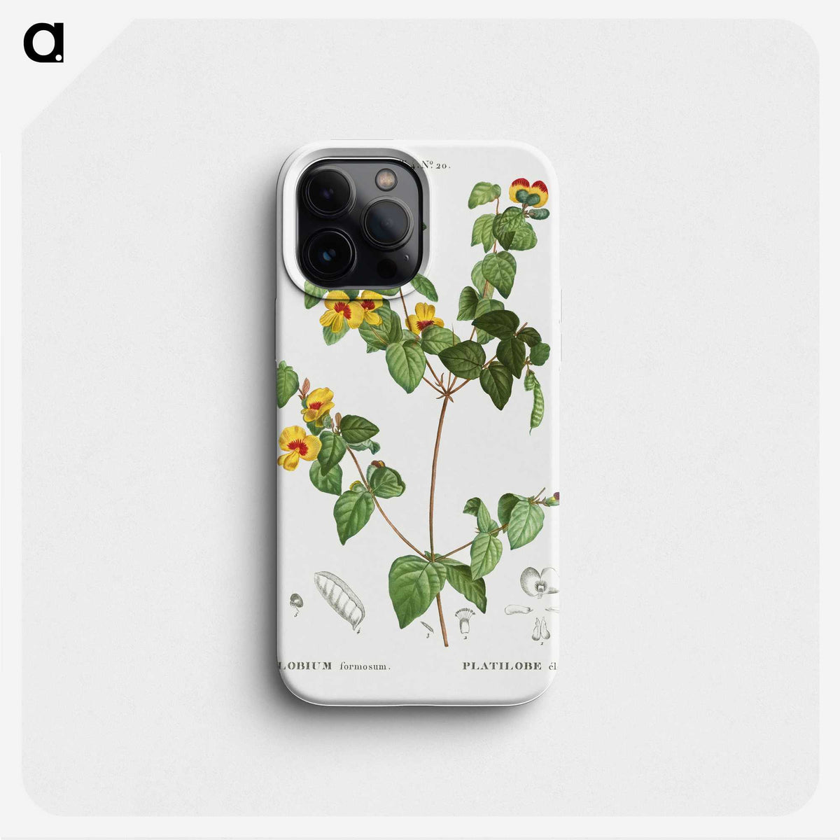 2-99_Treatise-on-Trees-and-Shrubs_phone