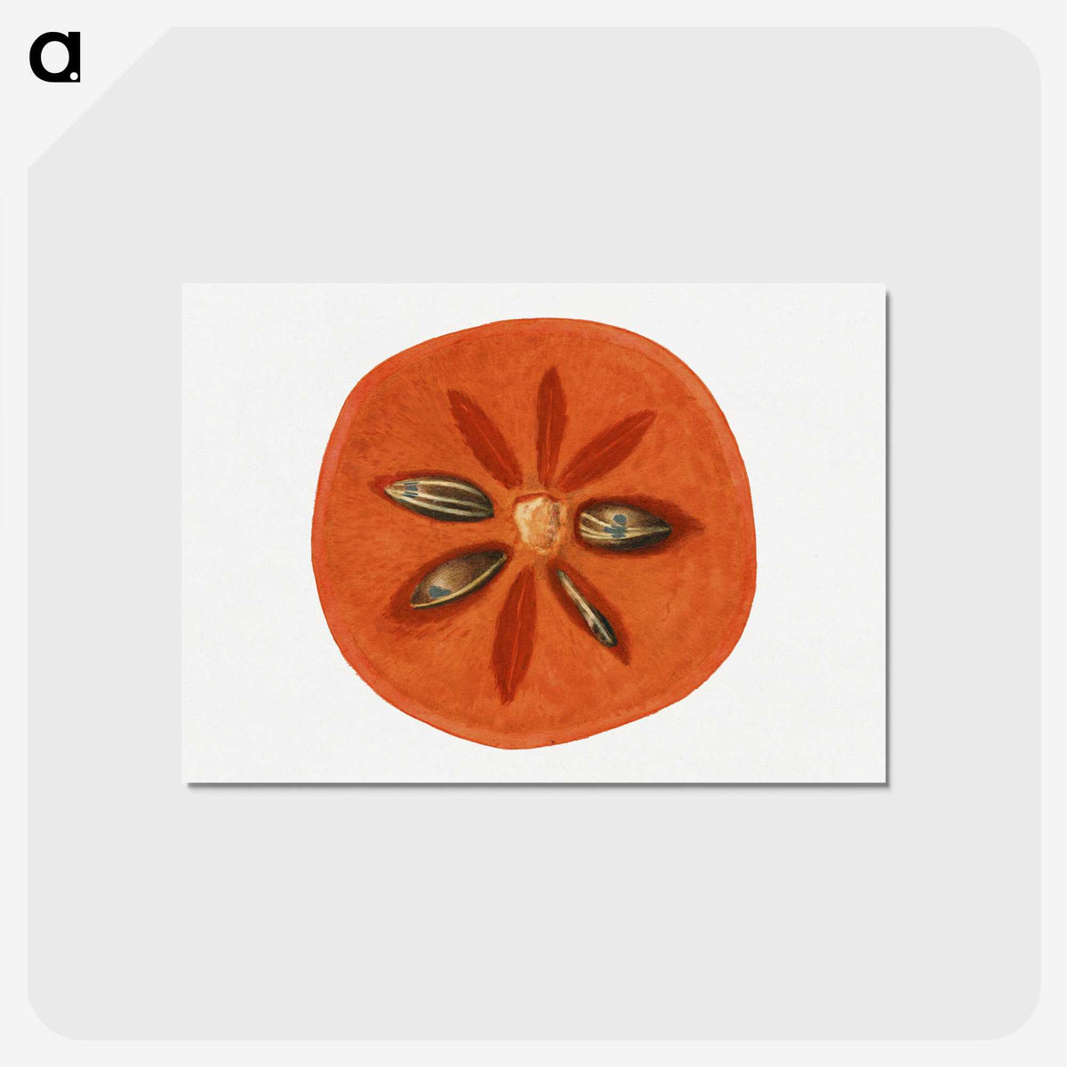 2-99_USDA-Watercolor-Fruit-Painting-Collection_postcard