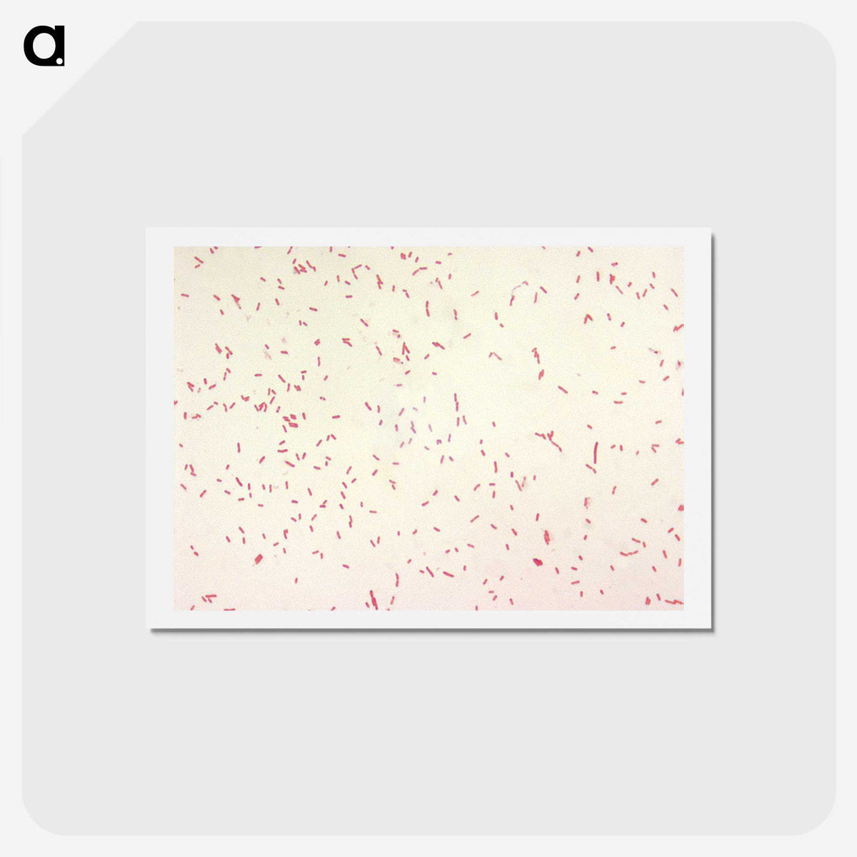 2-9_COVID-19_hagaki