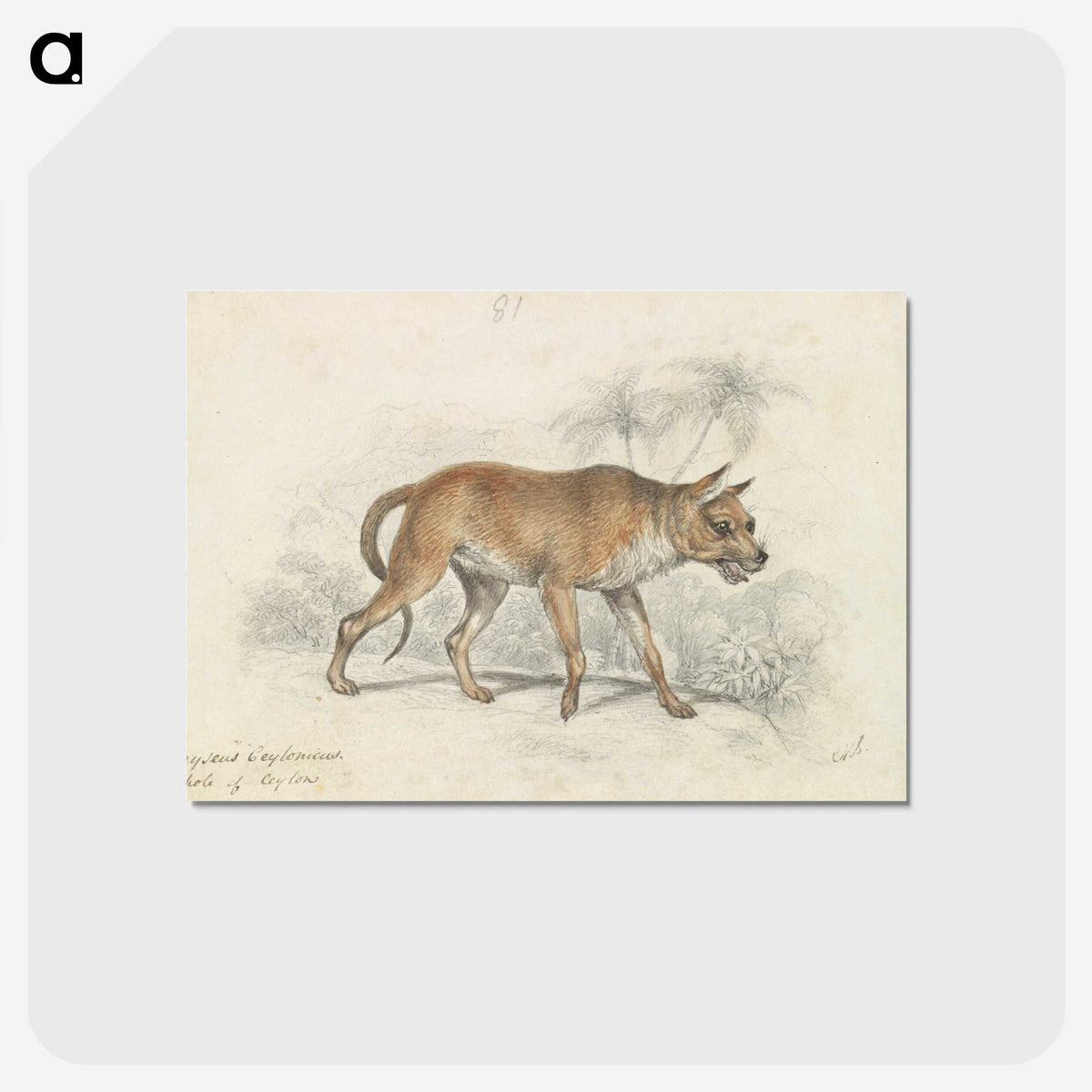 2-9_Charles-Hamilton-Smith_postcard