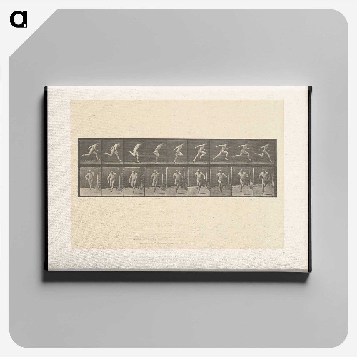 2-9_Eadweard-Muybridge_canvas