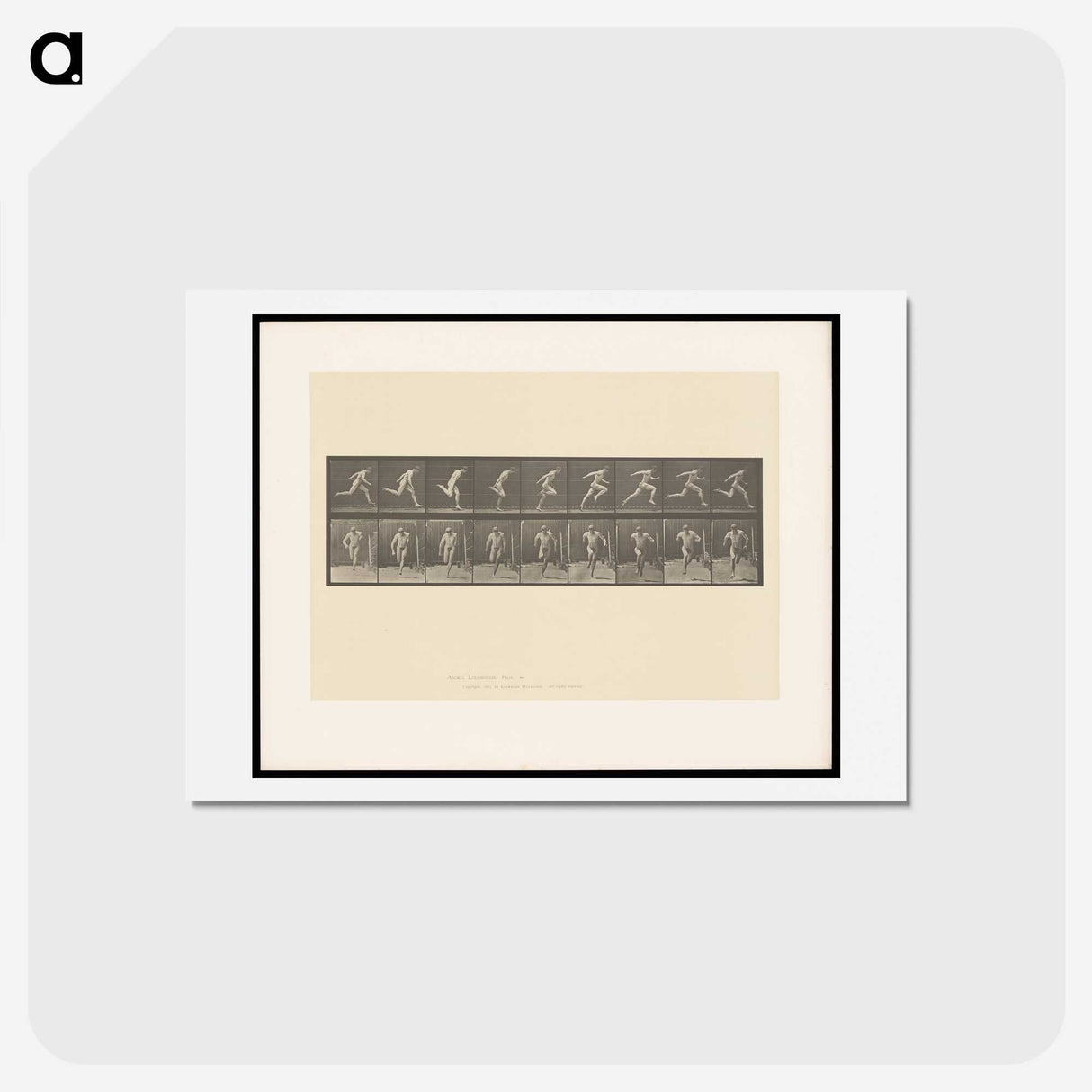 2-9_Eadweard-Muybridge_hagaki