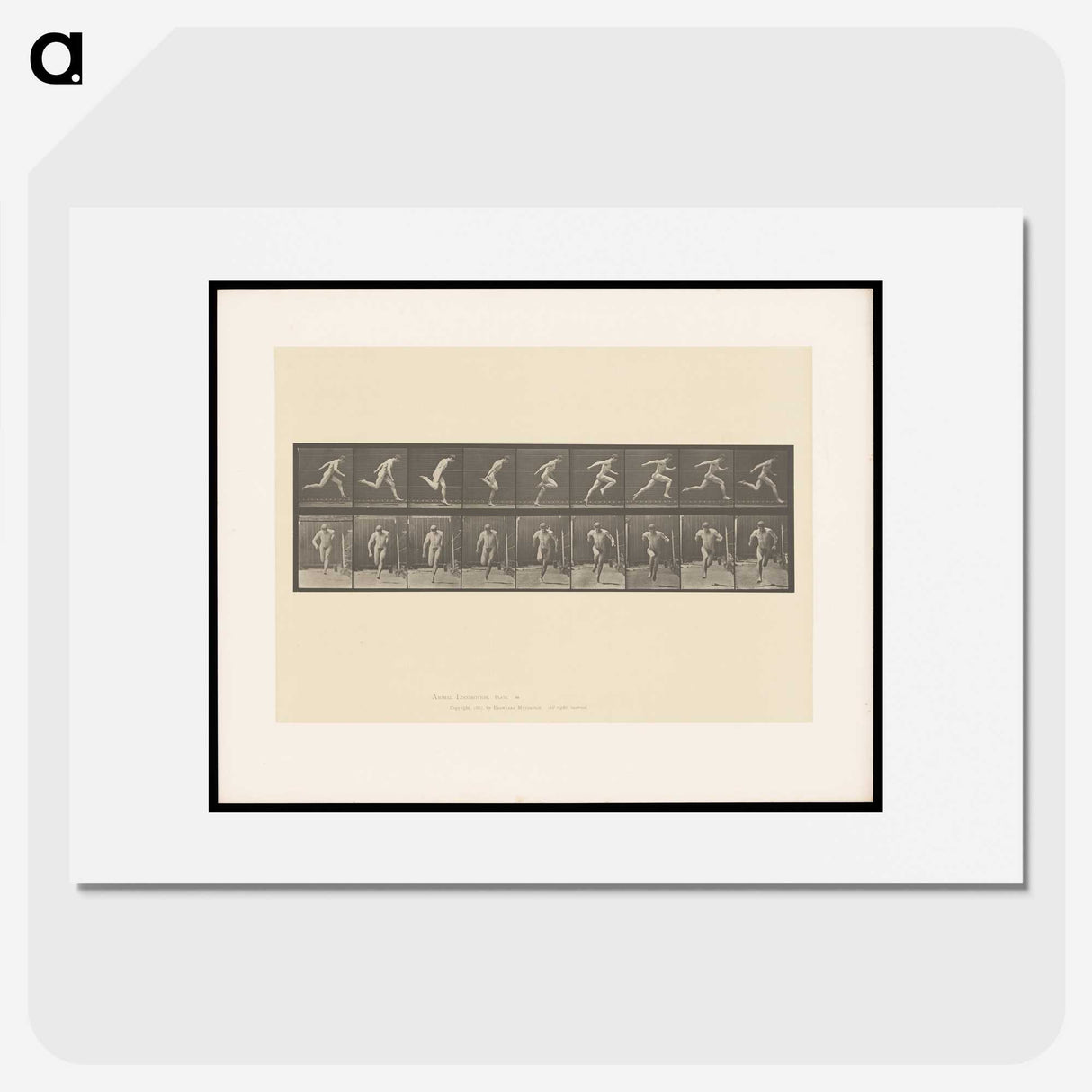 2-9_Eadweard-Muybridge_picture