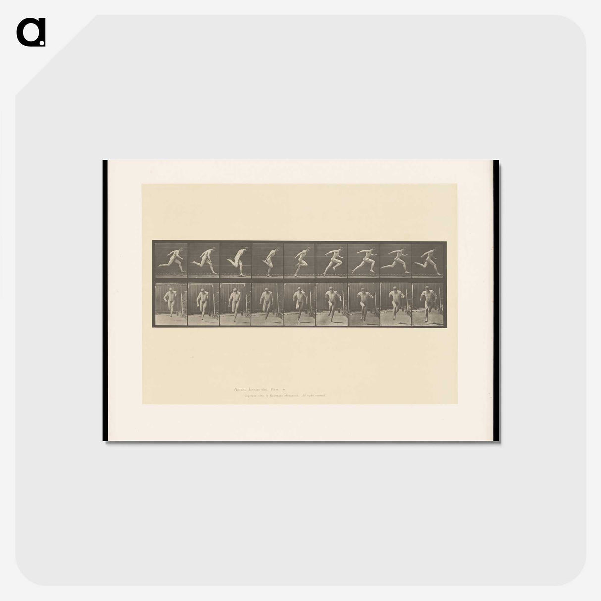 2-9_Eadweard-Muybridge_postcard