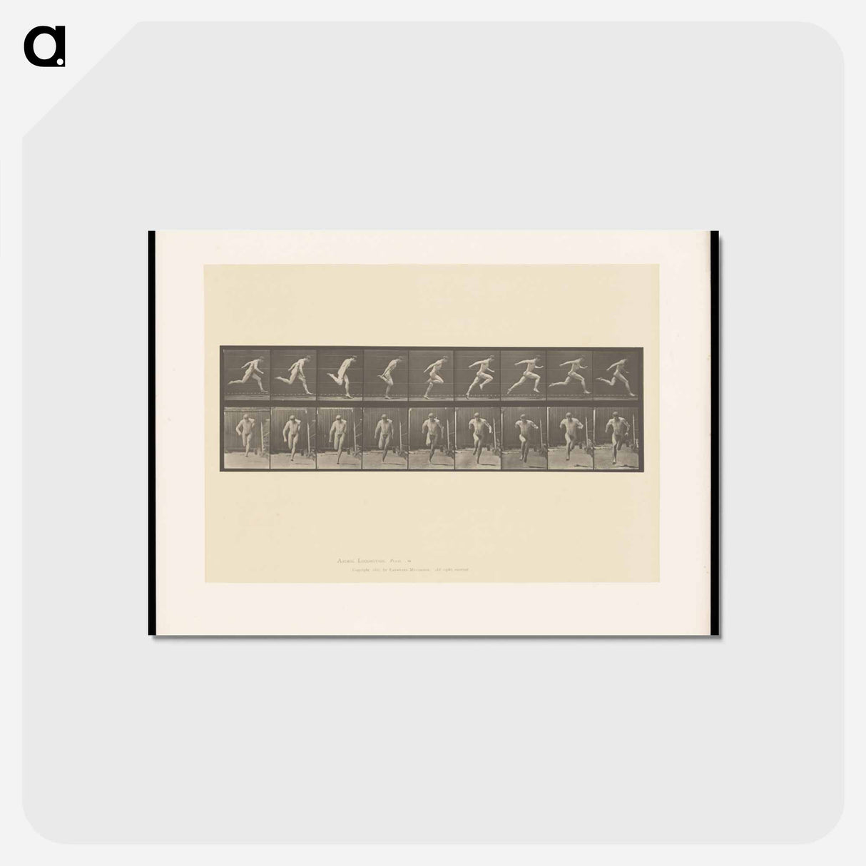 アートポストカード-Naked Man Running
- エドワード マイブリッジ Postcard.