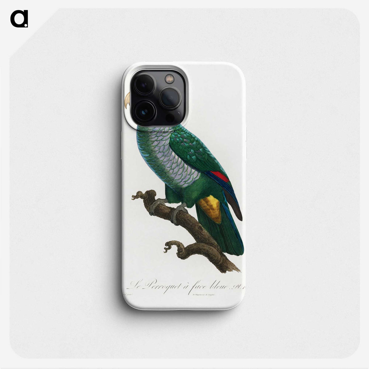 2-9_Francois-Levaillant_phone