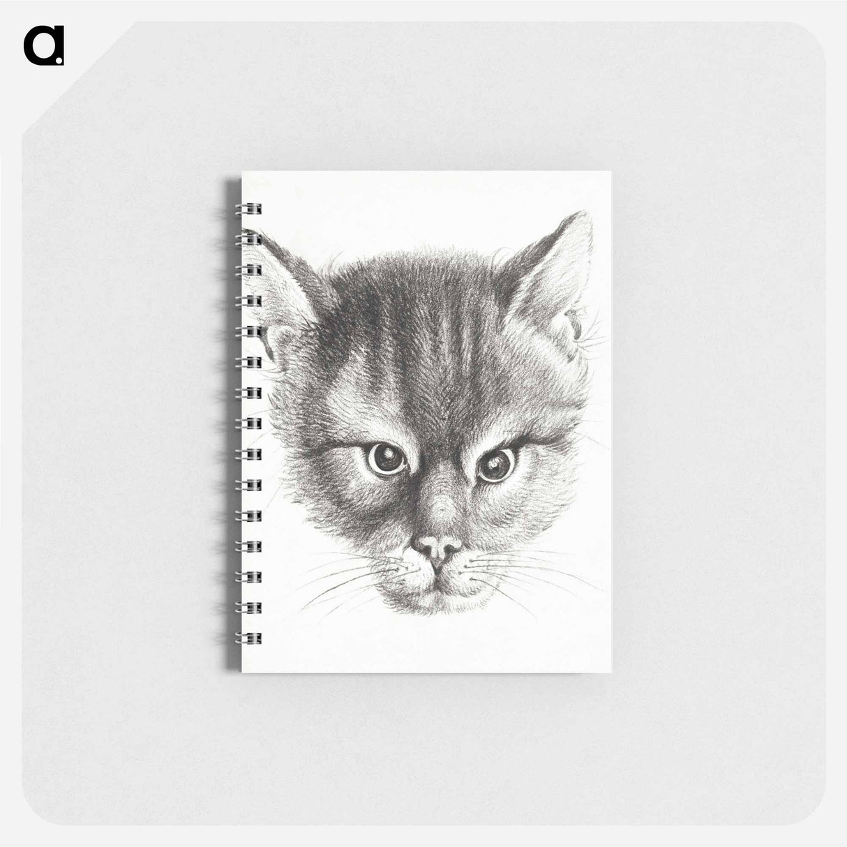 Sketch of a cat - ジャン ベルナール Memo.