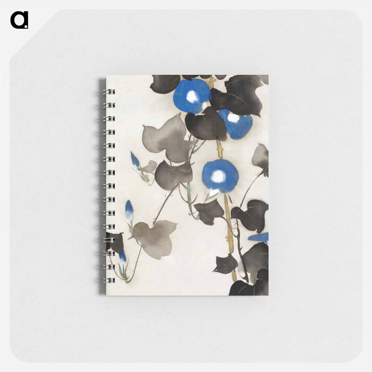 Morning glories - 神坂 雪佳 Memo.