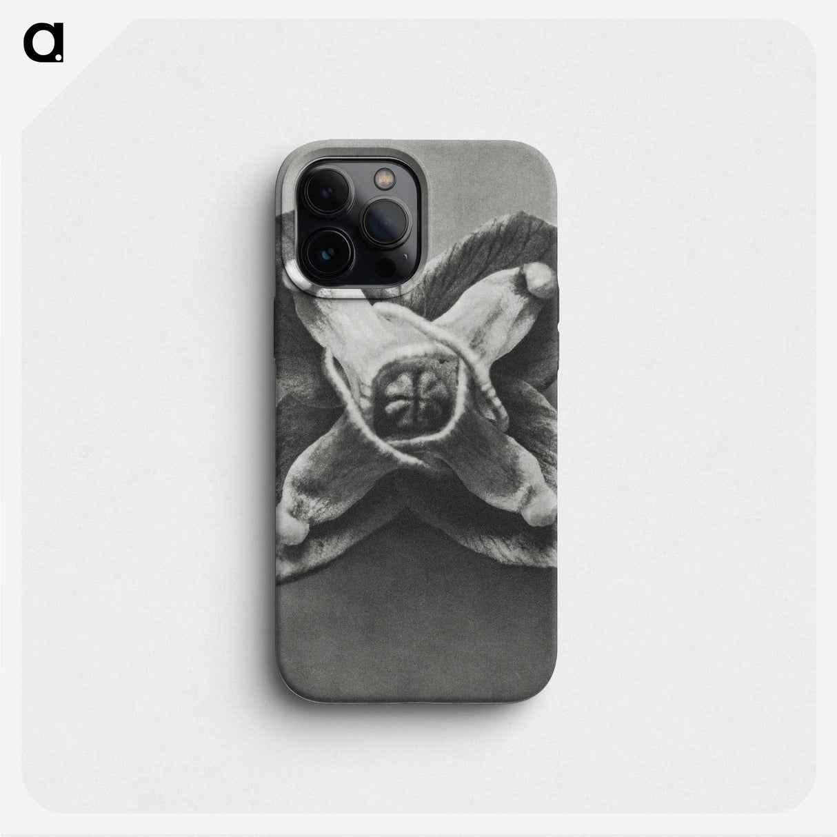 2-9_Karl-Blossfeldt_phone