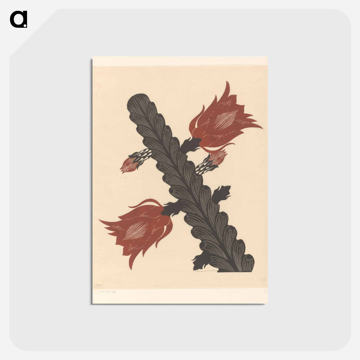 アートポストカード-Bloeiende cactus (epiphyllum)
- サミュエル ジェスルン Postcard.