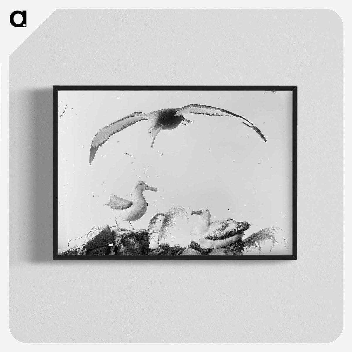 2-9_The-Burton-Brothers_blk-crop