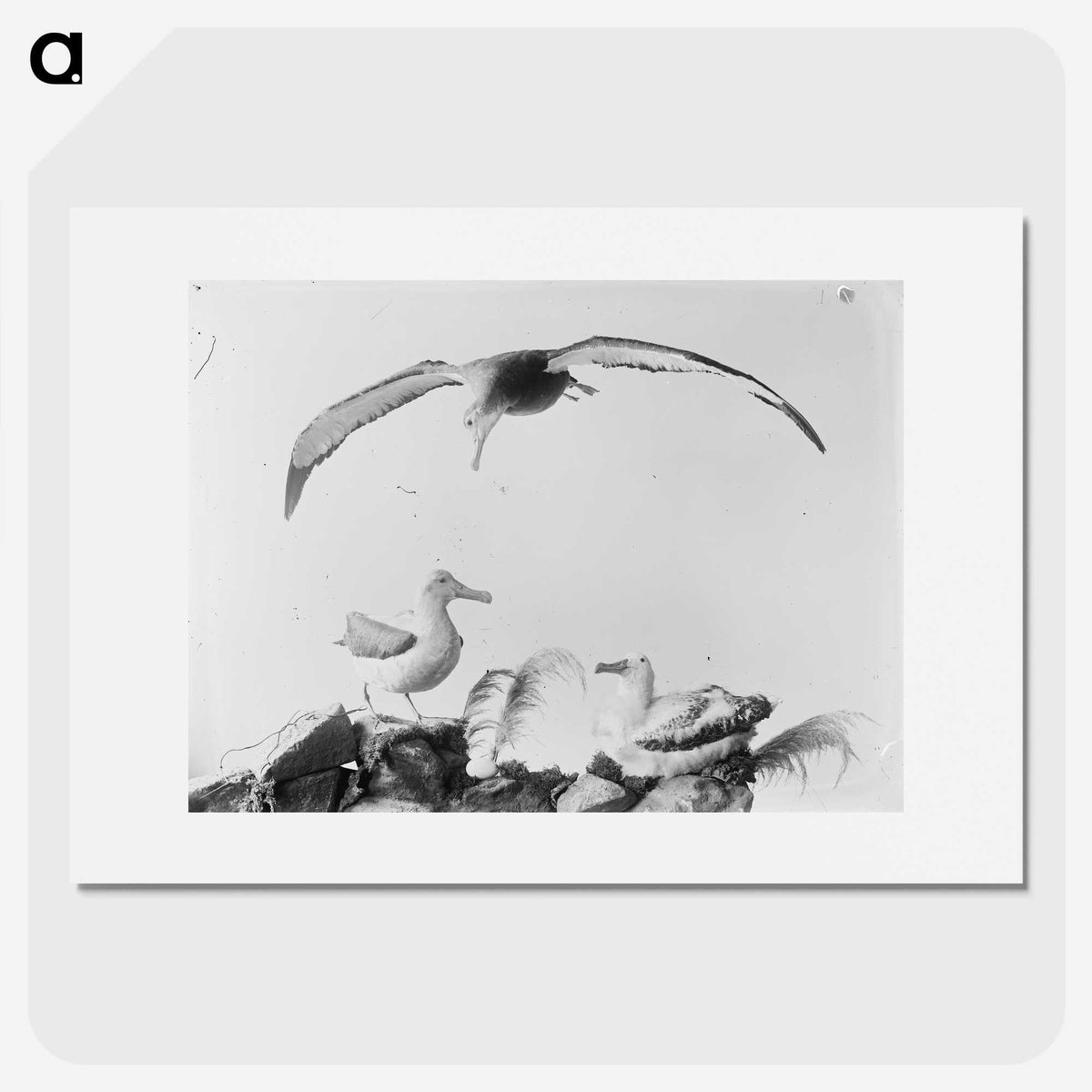 2-9_The-Burton-Brothers_picture