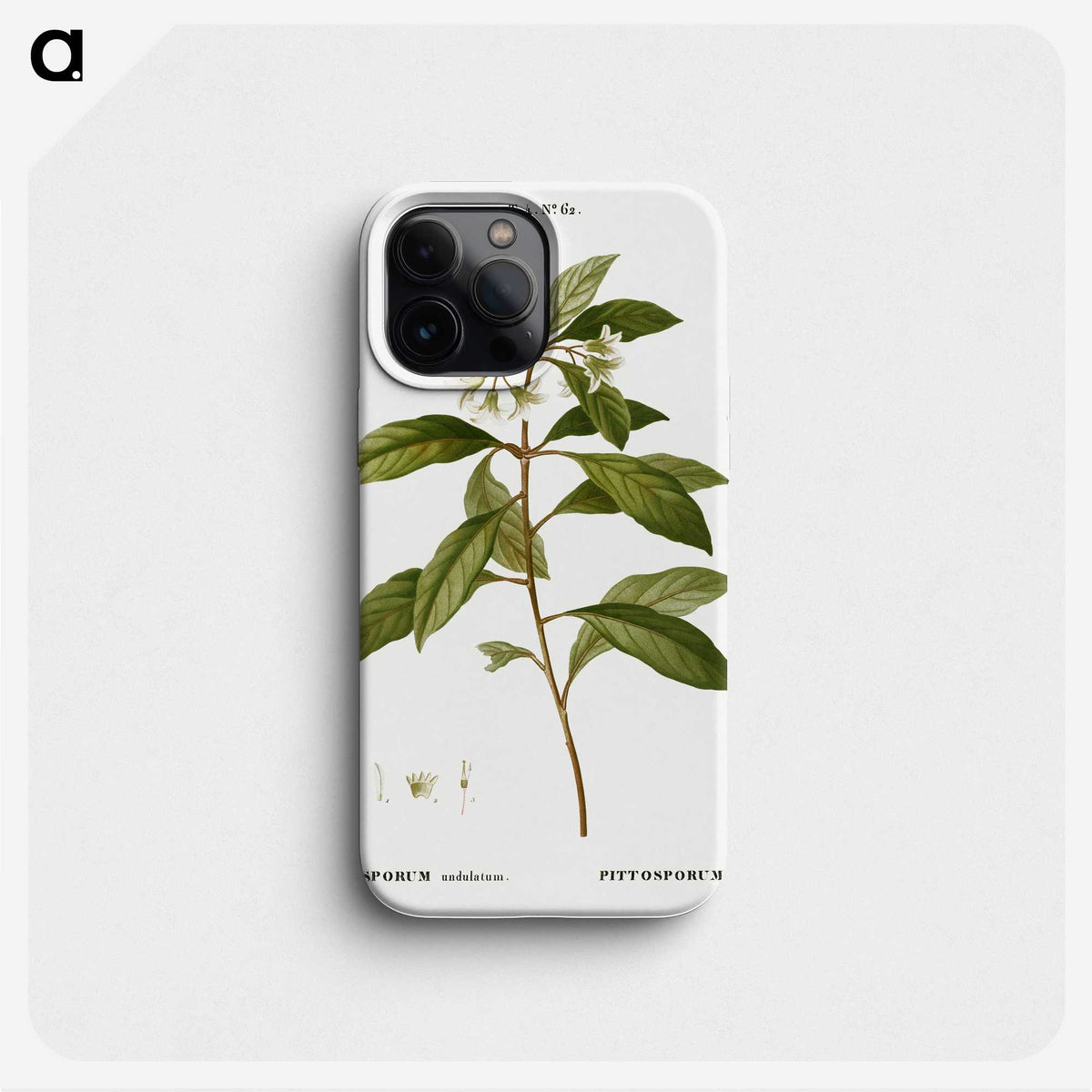 2-9_Treatise-on-Trees-and-Shrubs_phone