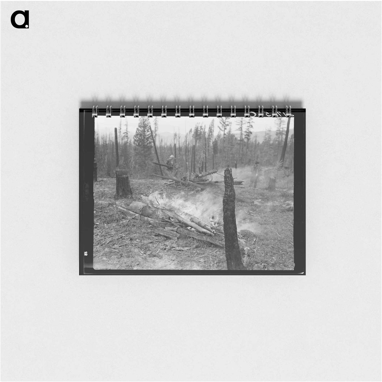 Family work, clearing land by burning - ドロテア ラング Memo.