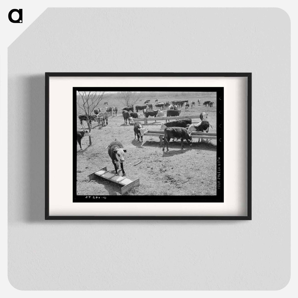 アートポスター-Cattle at Feeding Trough
- ラッセル リー Poster.