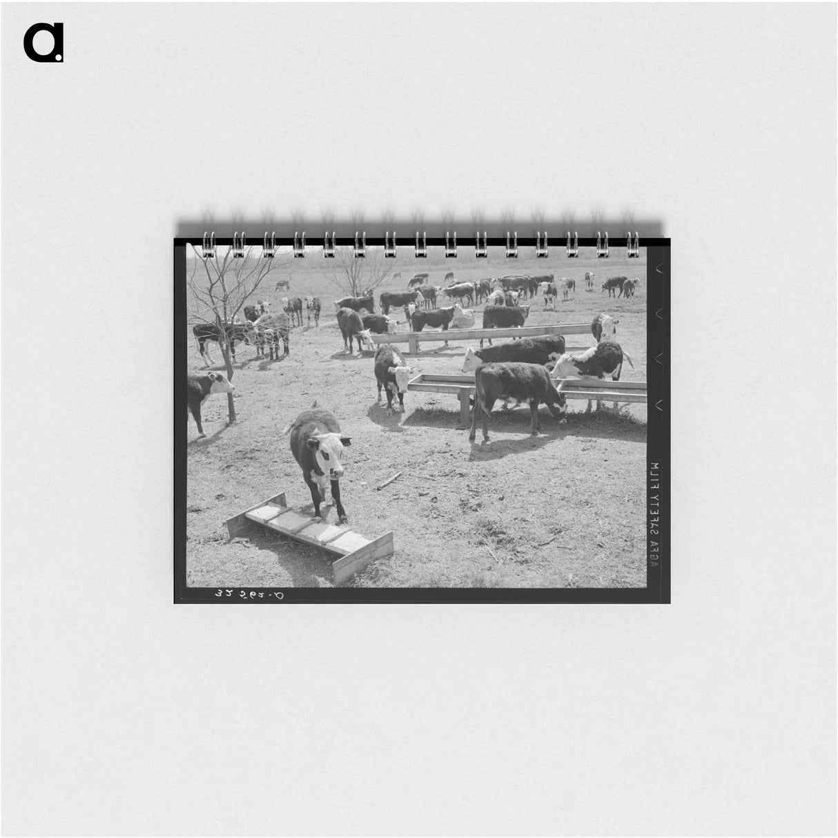 アートメモ帳-Cattle at Feeding Trough
- ラッセル リー Memo.