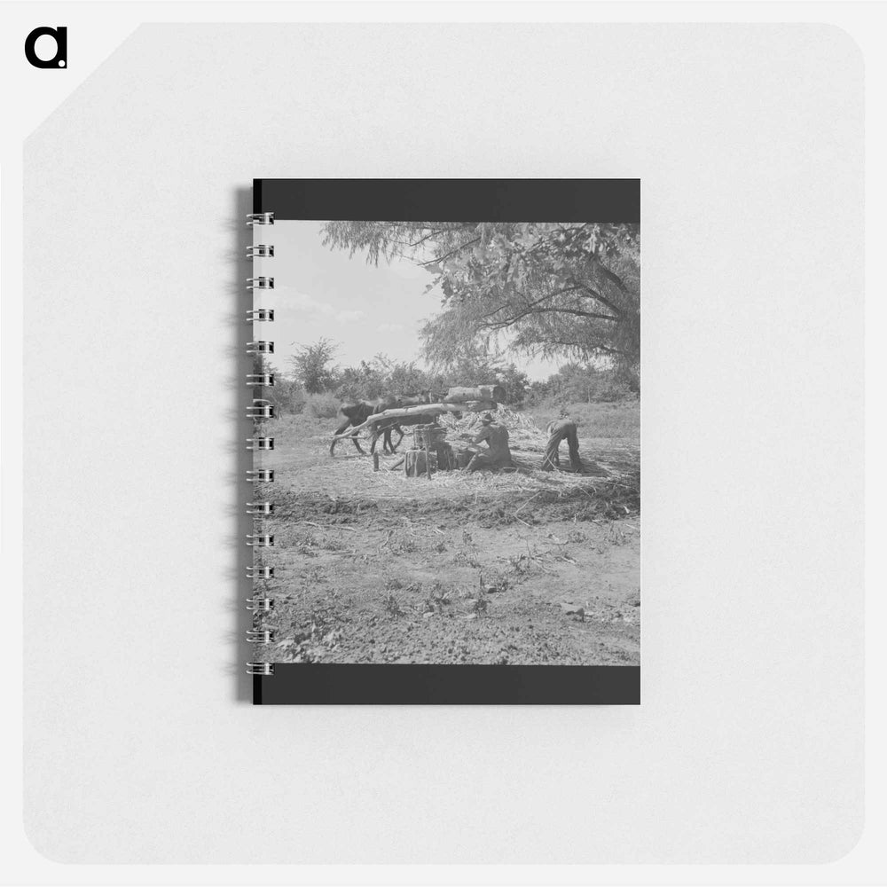 Untitled photo - ドロテア ラング Memo.