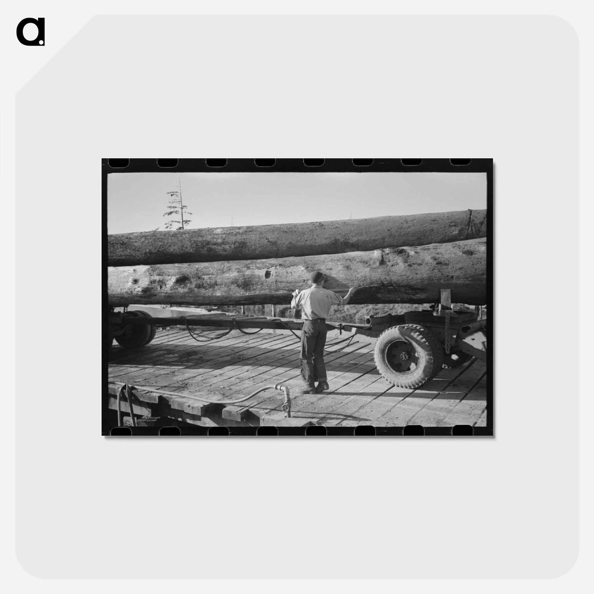 アートポストカード-Logs on Truck, Tillamook, Oregon
- ラッセル リー Postcard.